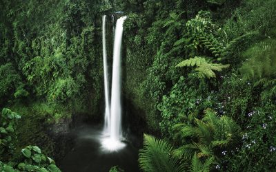 Régen minden jobb volt